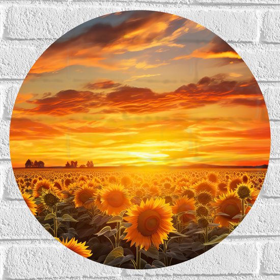 Muursticker Cirkel - Bloemen - Veld - Zonnebloemen - Zon - 50x50 cm Foto op Muursticker