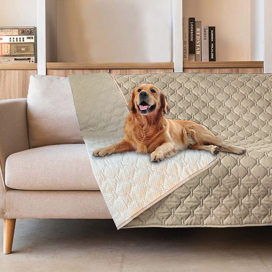 Couverture de canapé pour chien Green Berg - Imperméable et antidérapante -  Housse de