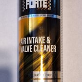 Forté Air Intake & Valve Cleaner