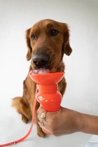 Springer - Gourde Classic pour chiens - Coquelicot - Gourde pour chiens - Utilitaires pour animaux