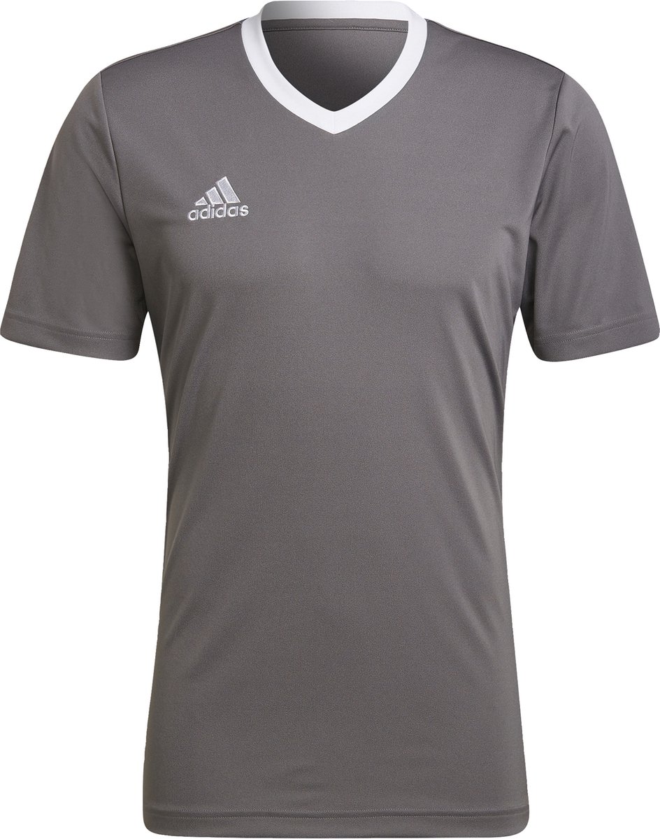 adidas Performance Entrada 22 Voetbalshirt - Heren - Grijs- M