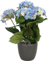Hortensia kunstplant met bloemen blauw - in pot antraciet - 40 cm hoog