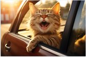 Poster Glanzend – Dier - Kat - Auto - Lachen - Tanden - 60x40 cm Foto op Posterpapier met Glanzende Afwerking