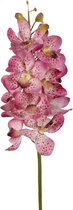 Viv! Home Luxuries Orchidee Vanda - zijden bloem - paars - 69cm