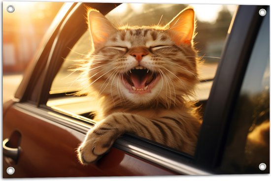 Tuinposter – Dier - Kat - Auto - Lachen - Tanden - 75x50 cm Foto op Tuinposter (wanddecoratie voor buiten en binnen)