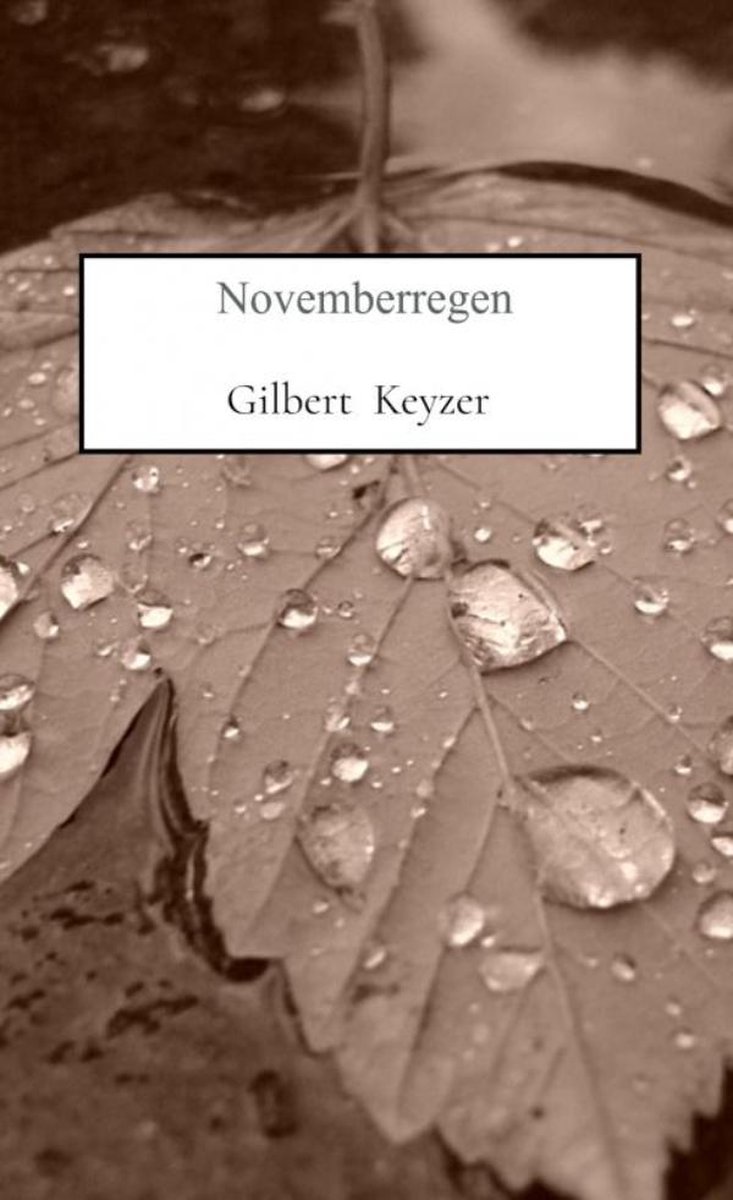Nieuwe dichtbundel van Almeerse auteur Gilbert Keyzer verschenen