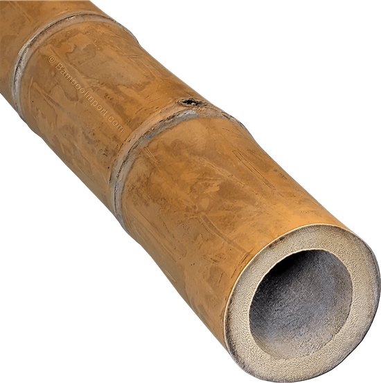 Suinga Verpakking met 500 klimhulpen van bamboe, 120 cm (8-10 mm), robuuste staven voor planten, bomen en groenten, plantenstandaard, tomatenstandaard voor klimplanten