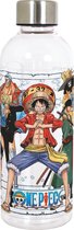 Stor Young Adult - One Piece - Herbruikbare fles Crew kleur - 850 ML