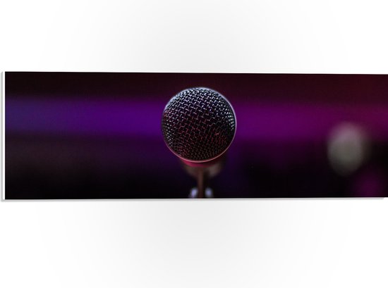 PVC Schuimplaat - Close-up van Microfoon op Podium - 60x20 cm Foto op PVC Schuimplaat (Met Ophangsysteem)