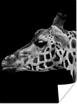 Poster Dieren - Giraffe - Zwart - Wit - 30x40 cm