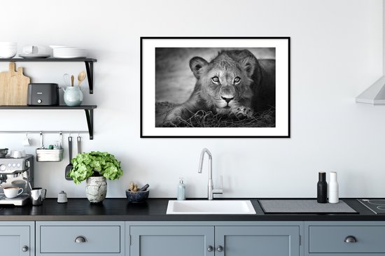 Cadre photo avec affiche - Animaux sauvages - Lion - Nature - Zwart - Wit - 90x60 cm - Cadre pour affiche