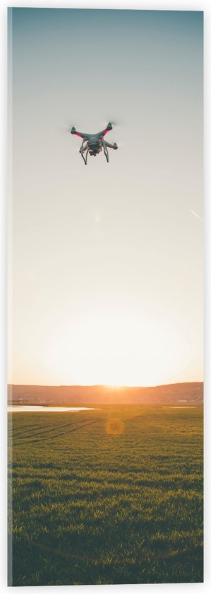 Acrylglas - Drone Vliegend boven Grasveld aan het Water bij Zonsondergang - 20x60 cm Foto op Acrylglas (Met Ophangsysteem)