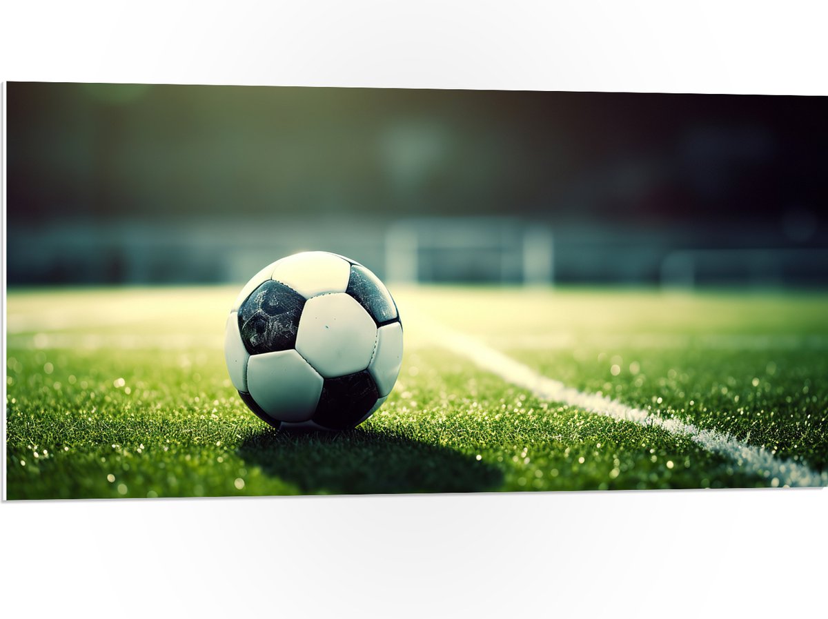 PVC Schuimplaat- Veld - Bal - Voetbal - Lijn - 100x50 cm Foto op PVC Schuimplaat