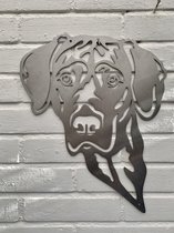 Metalen Hond - De Vizsla - Wanddecoratie van metaal