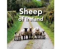 Sheep of Ireland