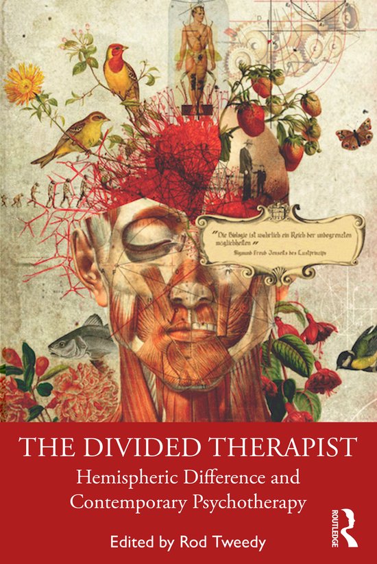 The Divided Therapist - cover