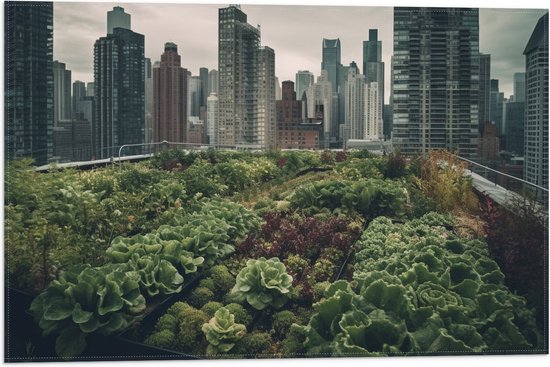 Vlag - Stad - Gebouwen - Planten - Groen - 60x40 cm Foto op Polyester Vlag