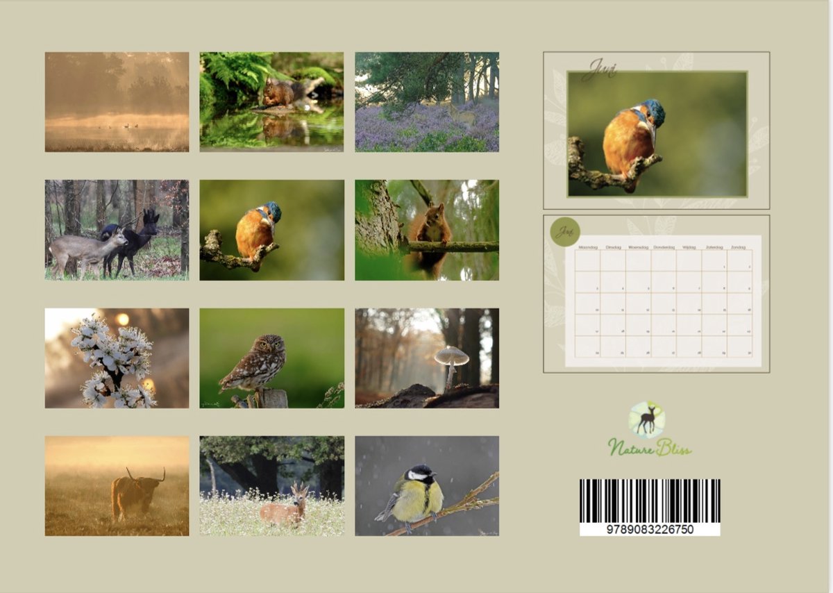 Natuur Kalender Bergen Edition Seidel Premium Kalender De