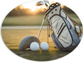 PVC Schuimplaat Ovaal - Golf - Golfbal - Sport - Hobby - Tas - Gras - 96x72 cm Foto op Ovaal (Met Ophangsysteem)