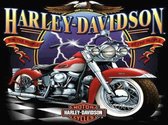 TOPMO - Harley Davidson Motor - Diamond painting pakket - HQ Diamond Painting - volledig dekkend - Diamant Schilderen – voor Volwassenen – ROND - 40 x 50 CM