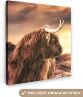 Canvas Schilderij Schotse hooglander - Zon - Horizon - Koe - Dieren - 50x50 cm - Wanddecoratie