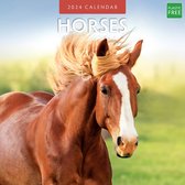 Horses (Paarden) Kalender 2024