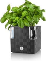 Cobble - Pot à herbes Design avec système d'arrosage - Anthracite - Bac à herbes - Bac de culture - Bac à plantes