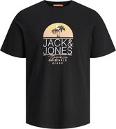 JACK&JONES JORCASEY TEE SS CREW NECK LN Heren T-shirt - Maat M