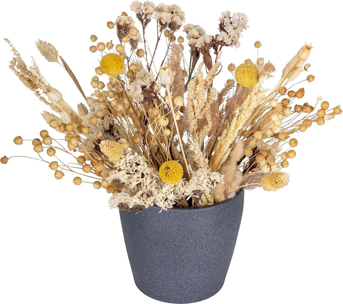 Echte droogbloemen wit natuurlijke gedroogde bloemen set voor kunst knutselen, thuis & bruiloft decoratie, bloemblaadjes en knutselbloemen voor DIY hars scrapbook kaarten, dried Flowers White