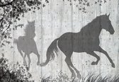 Fotobehang - Vlies Behang - Schaduwen van Paarden op Betonnen Muur - 368 x 254 cm
