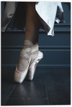 Dibond - Ballerina aan het Dansen op Spitzen - 70x105 cm Foto op Aluminium (Wanddecoratie van metaal)