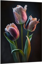 Acrylglas - Roze tulpen voor een zwarte achtergrond - Bloemen - 100x150 cm Foto op Acrylglas (Met Ophangsysteem)