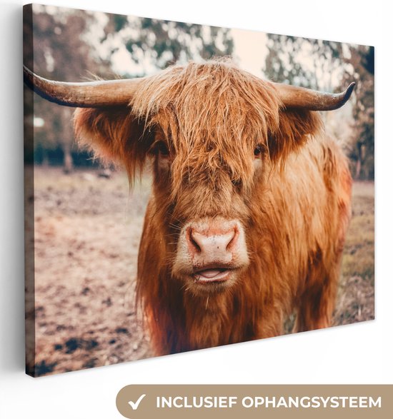 Tableau sur toile - Highlander - Animaux - Vache - Peintures salon - Décoration chambre - Toile toile - 40x30 cm