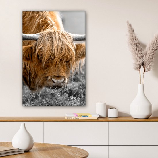 Tableau sur toile Scottish Highlander - Animaux - Marron - Vache - Zwart - Wit - Nature - 40x60 cm - Décoration murale