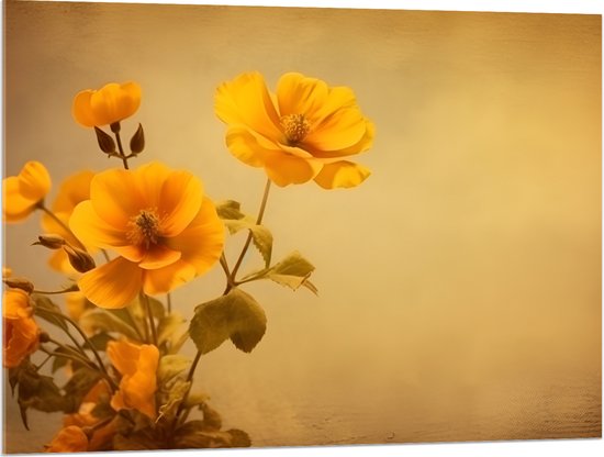 Acrylglas - Oranje Boterbloemen bij Licht Bruine Achtergrond - 100x75 cm Foto op Acrylglas (Wanddecoratie op Acrylaat)