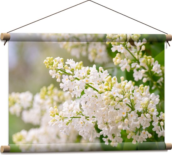 Textielposter - Kleine Witte Bloemen Trosjes aan Stengels - 60x40 cm Foto op Textiel