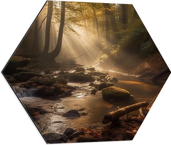 Dibond Hexagon - Bomen - Bossen - Water - Takken - Balderen - 60x52.2 cm Foto op Hexagon (Met Ophangsysteem)