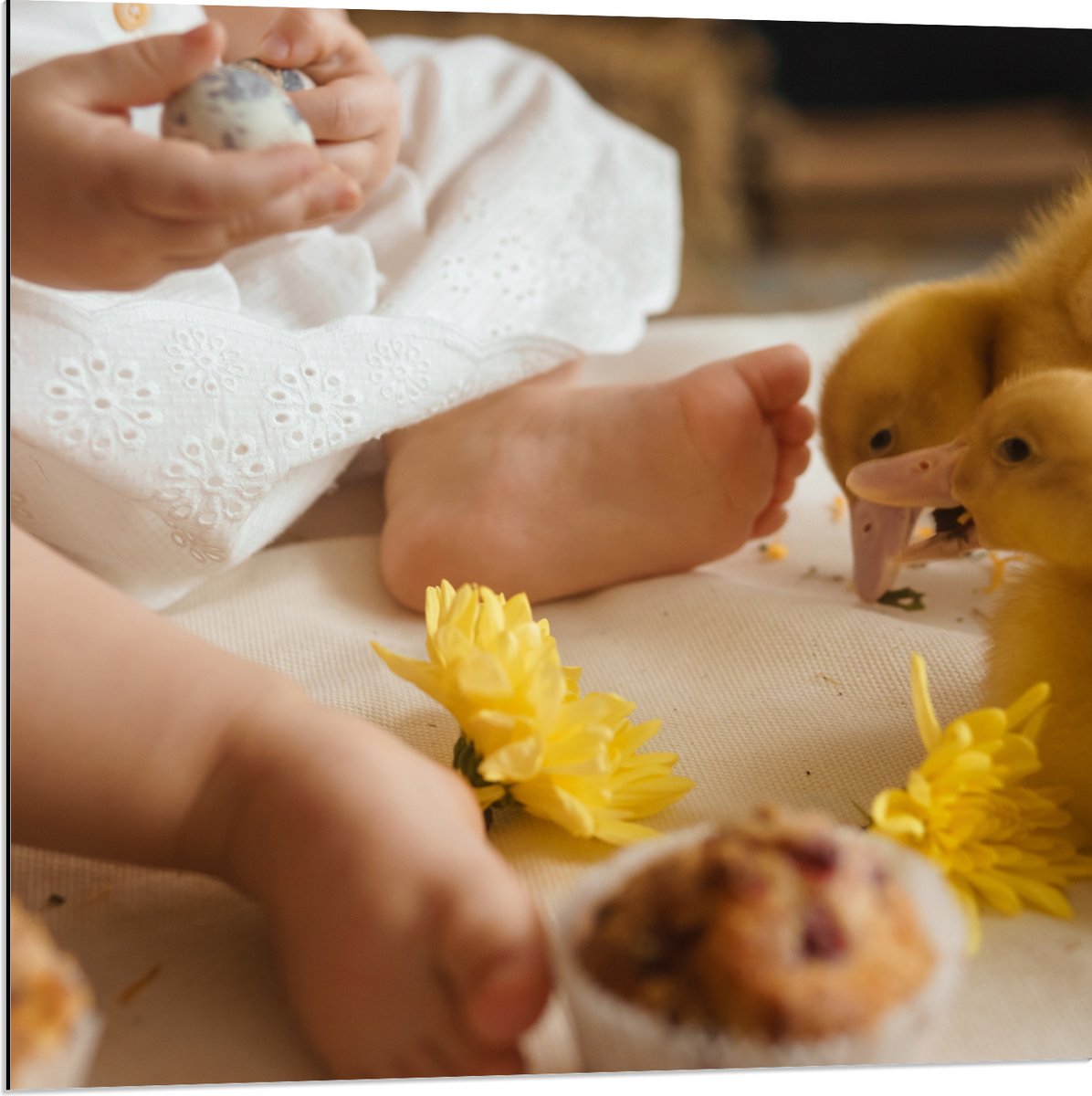 Dibond - Baby - Voetjes - Jurkje - Bloemen - Cakejes - Dieren - Eendjes - 80x80 cm Foto op Aluminium (Wanddecoratie van metaal)