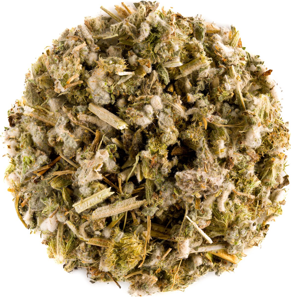 Goedkoopste Malrove Blad Thee Kruid - White Horehound