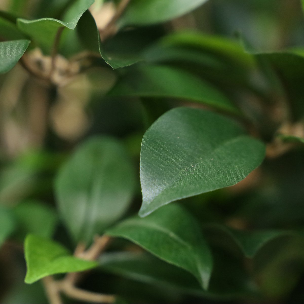 maxifleur Kunstplanten Ficus Folia kunstplant op stam 75cm Groen