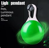Lampe de sécurité pour collier - Lumière animale - Vert