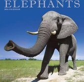 Calendrier des éléphants 2023