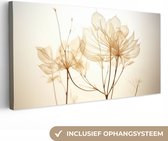 Canvas Schilderij Droogbloemen - Beige - Planten - Wit - 80x40 cm - Wanddecoratie