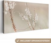 Peinture sur toile 80x40 cm - Décoration murale Fleurs - Wit - Plantes - Décoration murale salon - Décoration chambre - Accessoires de chambre - Peintures