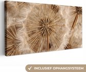 80 cm x 40 cm