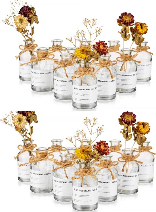 24 x kleine vazen voor tafeldecoratie - Hewory vaas glas mini vazen set ronde vazen kleine tafeldecoratie glazen flessen kleine bloemenvazen glazen vazen voor tafeldecoratie bruiloft