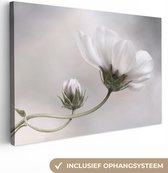 Canvas schilderij - Canvas doek - Bloemen - Wit - Natuur - Stilleven - Wanddecoratie - 90x60 cm - Foto op canvas