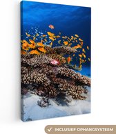 Canvas schilderij - Vis - Koraal - Water - Zee - Schilderij dieren - 90x140 cm - Foto op canvas - Canvasdoek