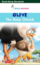 Baby Animals - Olive The Baby Ostrich