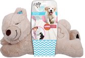 AFP Little Buddy - L'ours chaud